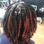 Wash & Retwist