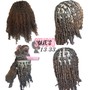 Starter Locs