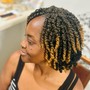 Passion Twists/Crochet Individual braids