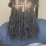 Poetic Justice Braids