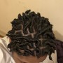 Starter Locs