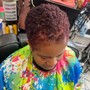 Root Touch Up