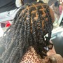 2 Strand Twist (no hair)