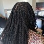 2 Strand Twist (no hair)