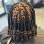 Comb Twist non loc