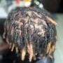 Root Touch Up