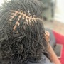 Starter Locs (2 strand twist)