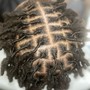 Loc Retwist