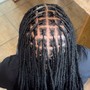 Starter locs