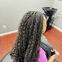 Marley Twist / Passion Twist