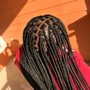 Two Strand Twists w/ Natural Hair