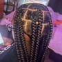 Medium Knotless Senegalese Twists