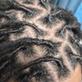 Loc Coils, interloc takedown (short hair)