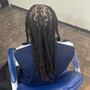 Loc Maintenance (Comb retwist) Medium to long Locs