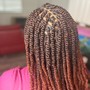 Havana Twists