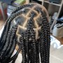 Individual Braids (Knotless)