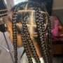 Two Strand Twists w/ Natural Hair