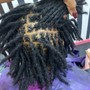 Loc Re-Attachment (up to 7 locs)