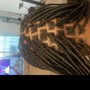 Individual Braids