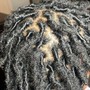 Traditional Micros