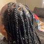 Traditional Micros