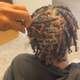 Starter Locs