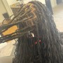 Starter Locs