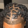 Starter Locs