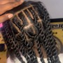 Starter Locs