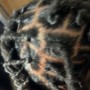 Starter Locs