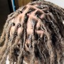 Loc retwist