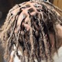 Loc retwist