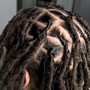 Loc retwist