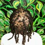 Dreadlock Removal