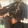 Starter Locs