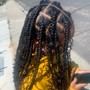 Medium/Large Knotless Braids