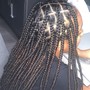 Small knotless Braids