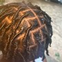 Comb Coils/ Starter Locs