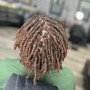 Loc Maintenance (Retwist and Styling Only)