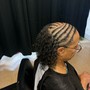 Root Touch Up