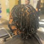 2 Strand Twists