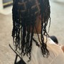 Starter locs