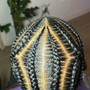 Two Strand Twist