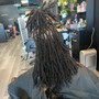 Adult Starter Locs