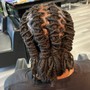 Micro Loc Retwist (200+ locs)