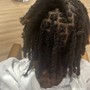 Two Strand Twist