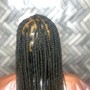 Jumbo Senegalese Twist