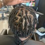 Adult Starter Locs