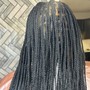 Jumbo Senegalese Twist