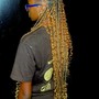 Fulani/ Senegalese twists Mid Back